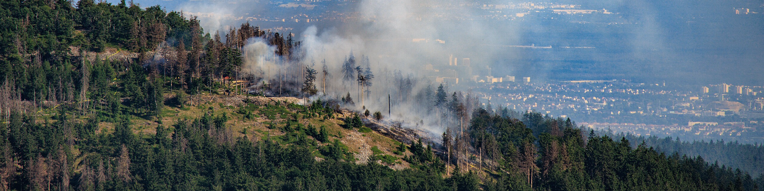 Foto „Altkoenig Waldbrand 2023-06-12 16-43-23-SR“ (Ausschnitt) von Alexander Hoernigk unter der Lizenz CC BY 4.0 via Wikimedia Commons